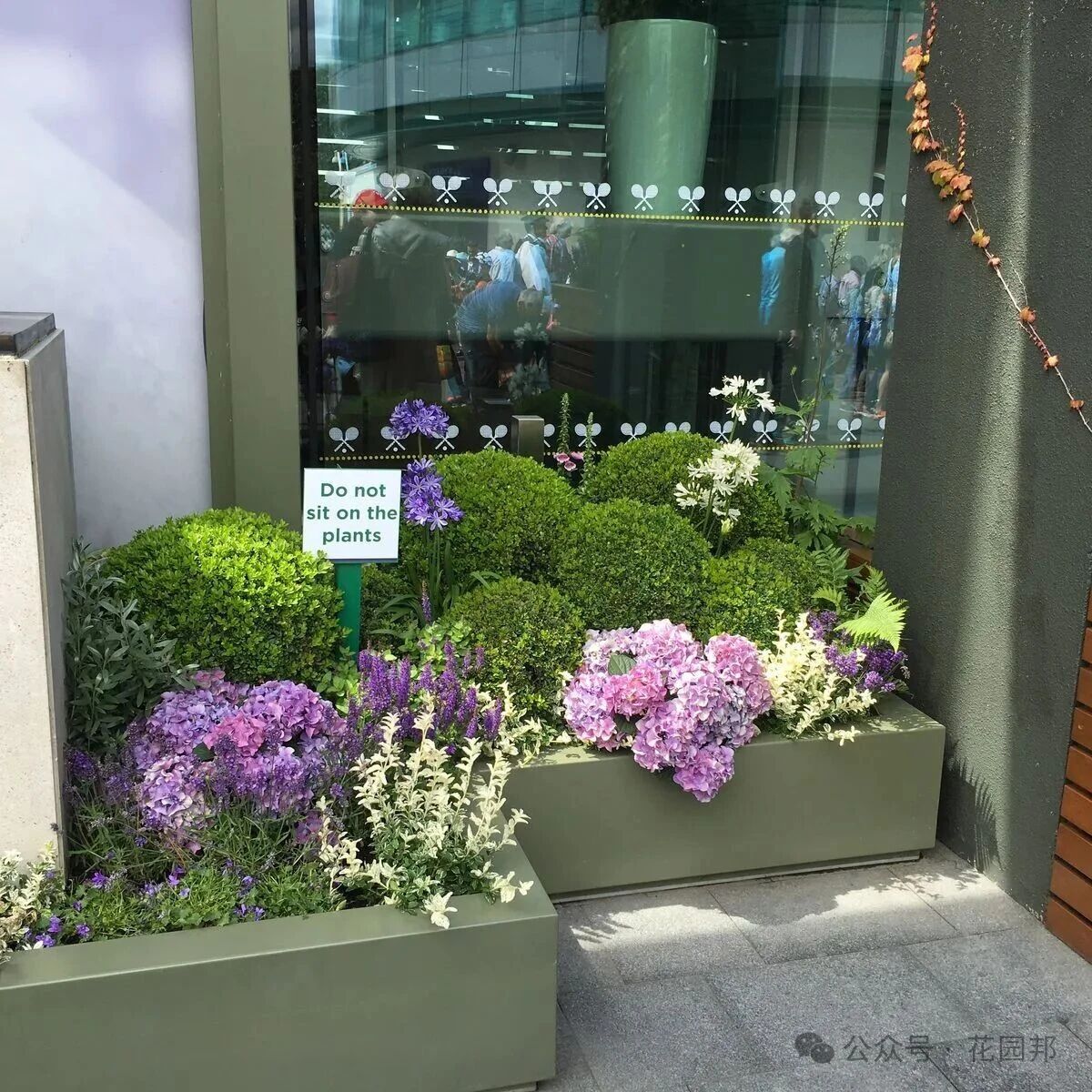 夏季園藝：讓你的花園安然度過“烤”驗